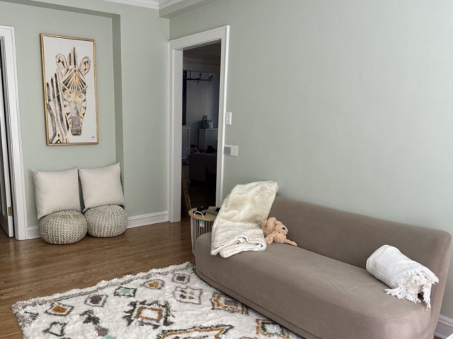 About Chicago Painters Inc